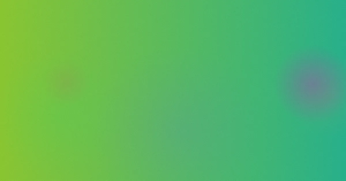 命运之夜攻略：各版本怎么选